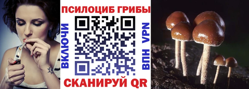 Псилоцибиновые грибы MAGIC MUSHROOMS Нелидово